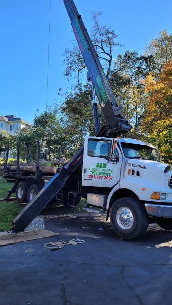 A&M Affordable Tree Service