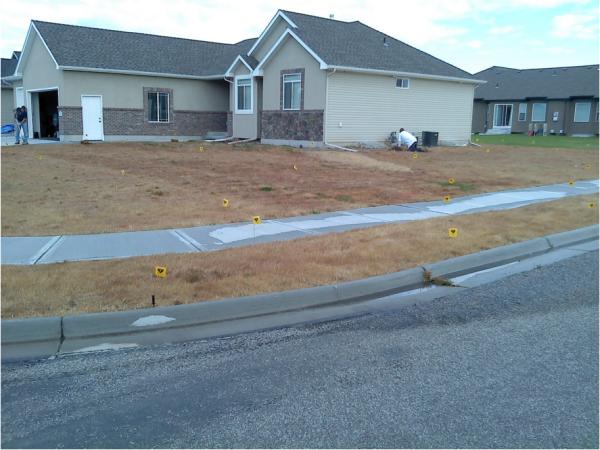 Diamond T Landscape & Construction LLC