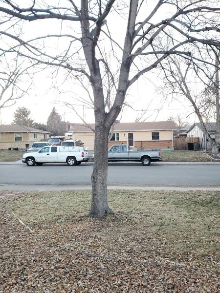 Mortensen Tree Service