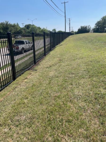 Buzz Custom Fence