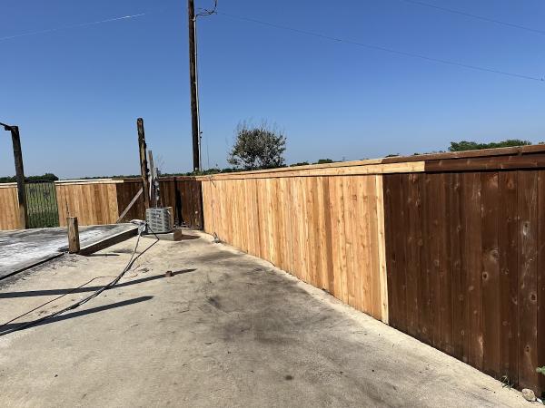 Buzz Custom Fence