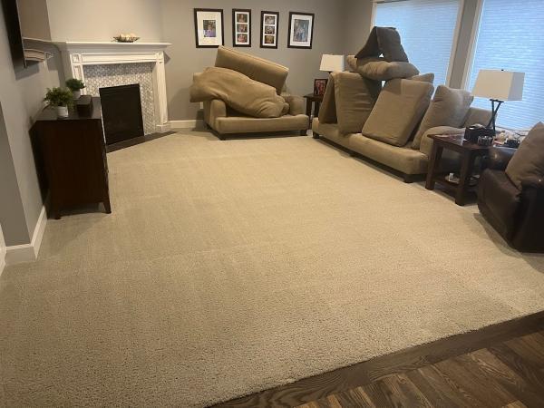 Pure Clean