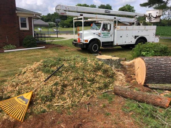 Pope's Tree Service