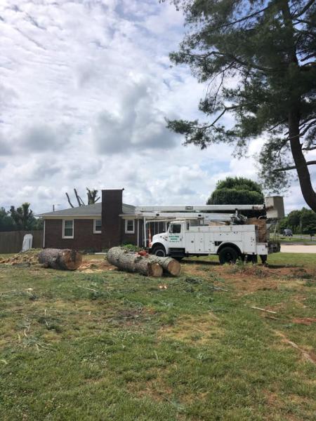 Pope's Tree Service