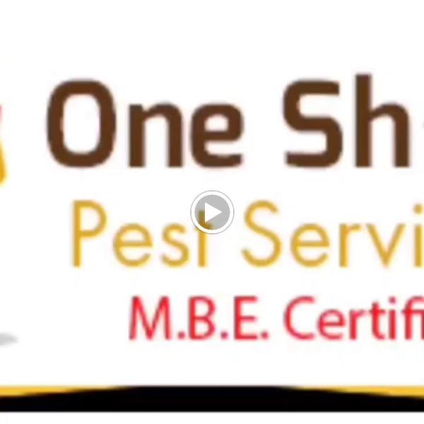 One Shot Pest Services