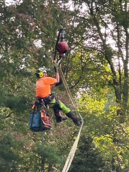 Craigs Tree Service