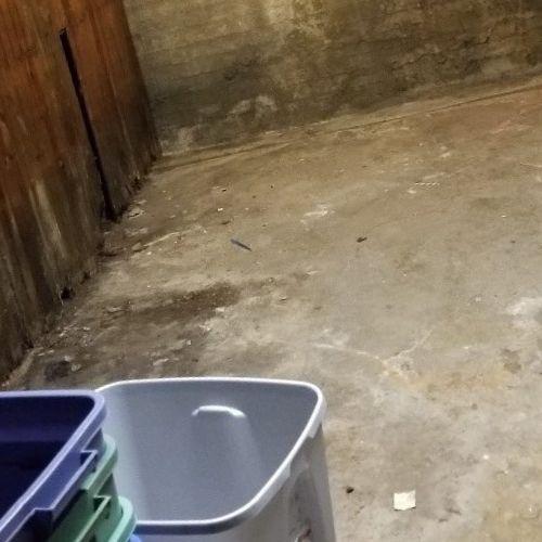 Velozo Mold Remediation