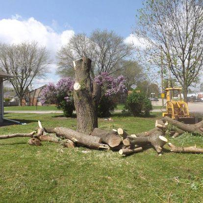 Vanderbilt Tree Service