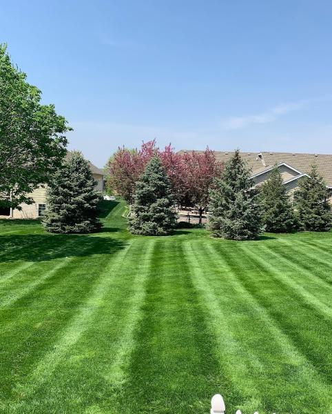 Goldermann Lawn & Landscape