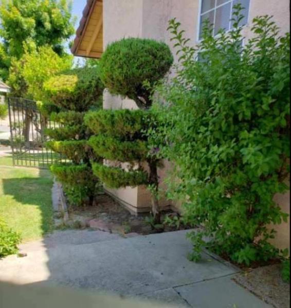 Lopez Complete Yard Care