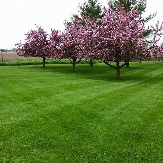Hackett Lawn Care