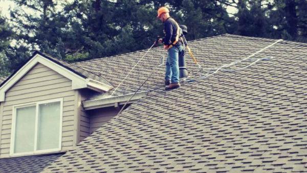 Pacific Diligent Services Roof Moss Removal & Gutter Cleaning
