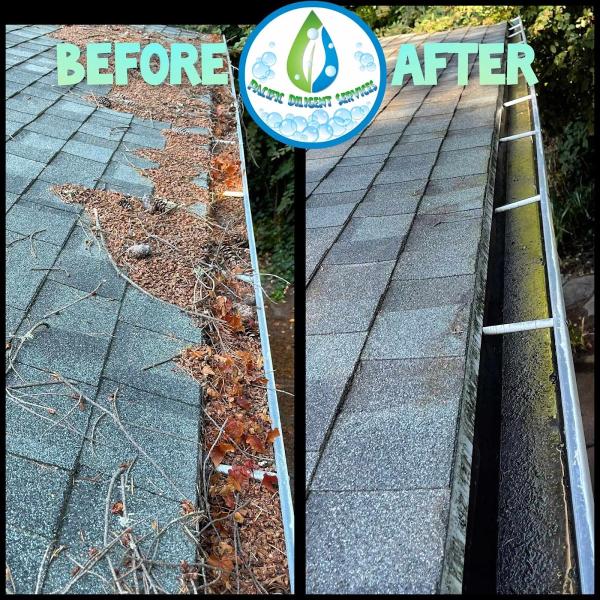 Pacific Diligent Services Roof Moss Removal & Gutter Cleaning