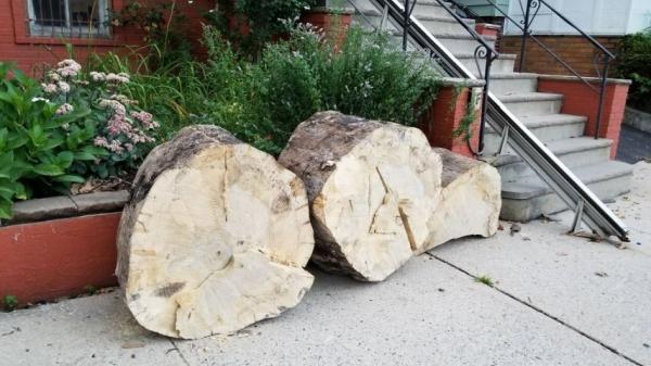 Luxury Tree Service & Landscaping