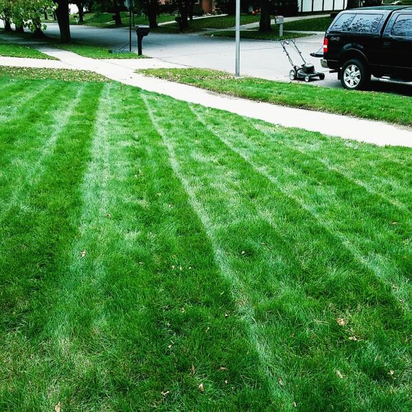 Engel Outdoor Services