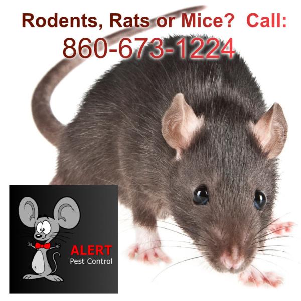 Alert Pest Management