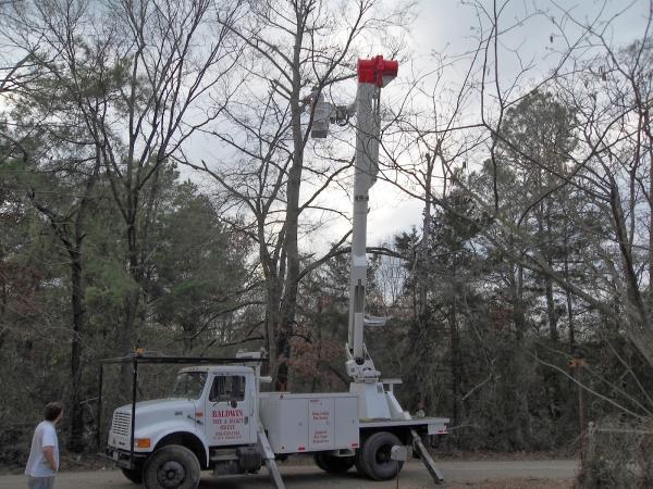 Baldwin Tree Service