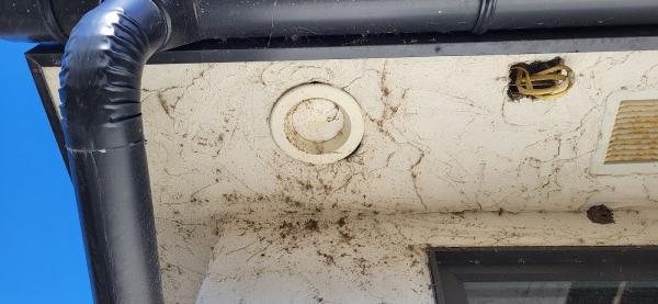 Rawhide Pest Solutions