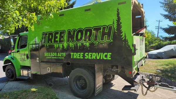 Tree North Tree Service