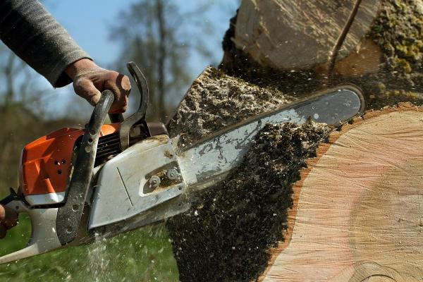 Matt's Maintenance Tree Service