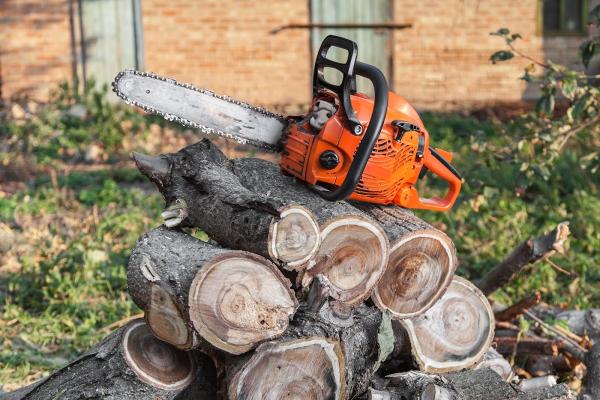 Matt's Maintenance Tree Service