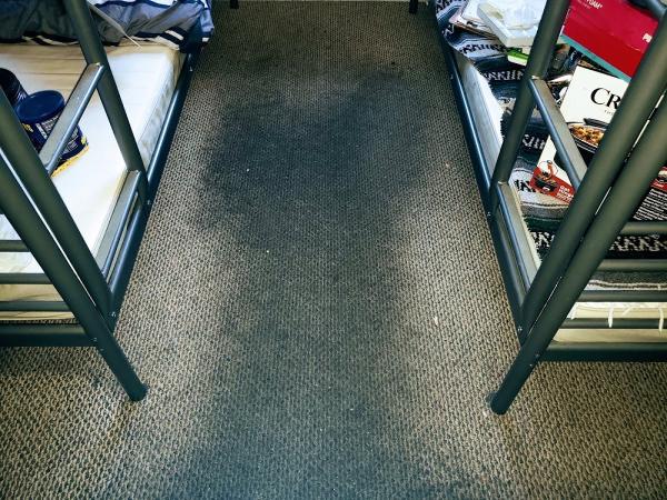 Genesis Carpet & Upholstery Cleaning Services