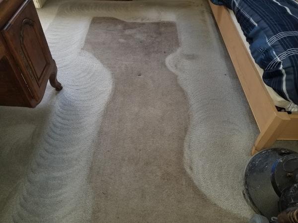 Genesis Carpet & Upholstery Cleaning Services