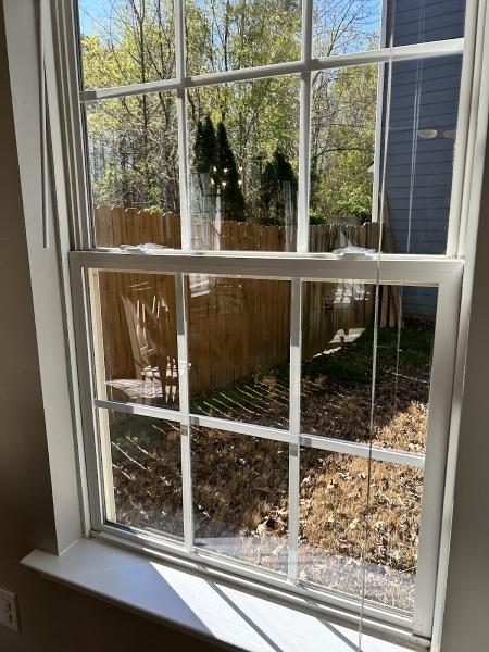 Clearview Window Cleaning and Pressure Washing LLC