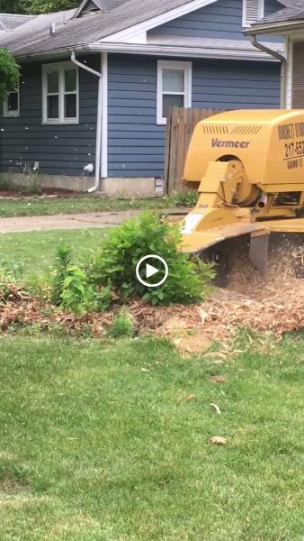 Burchett Stump Grinding