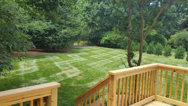 Lawn Firm
