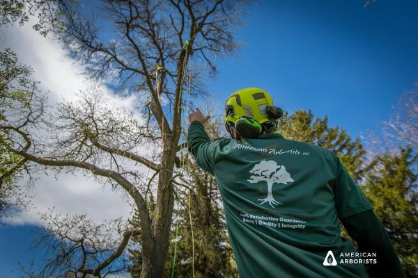 American Arborists