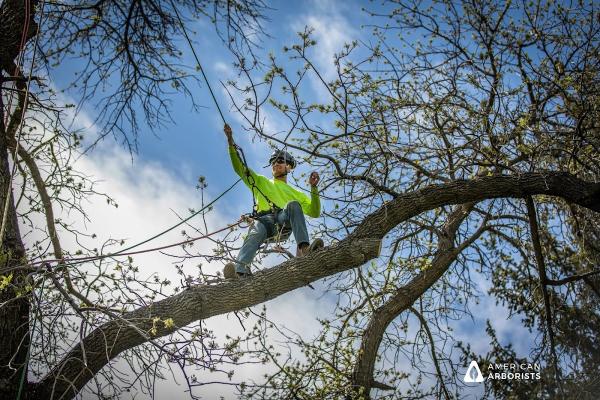 American Arborists