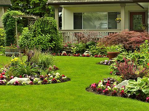 Excel Landscaping & Lawn Care