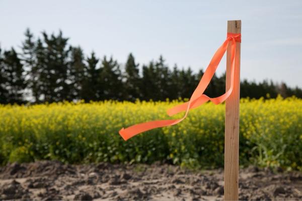 Fort Myers Land Surveyors