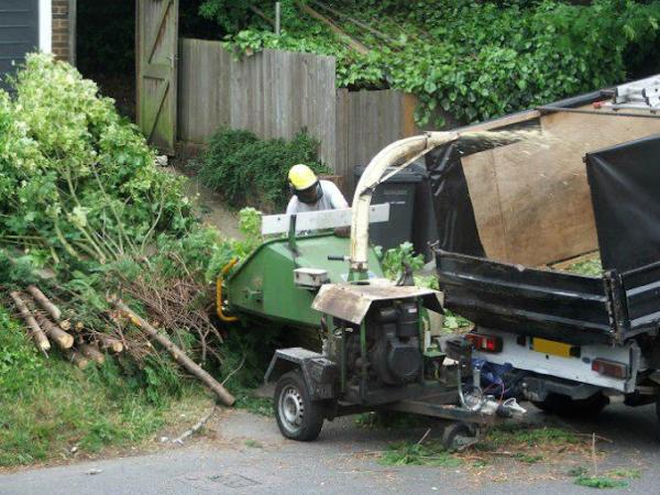 Davie Tree Service
