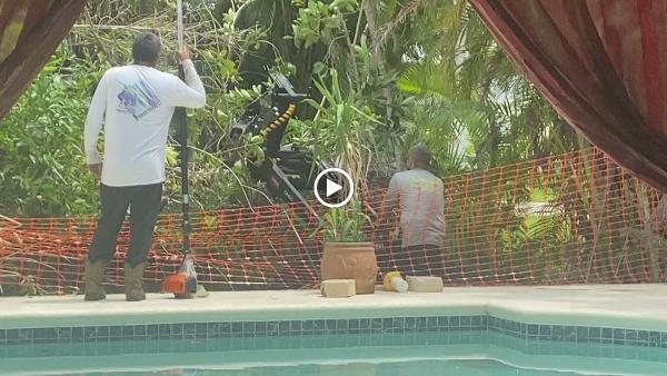 Davie Tree Service