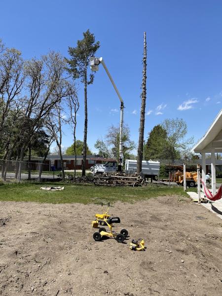 Steve's Tree Service Inc