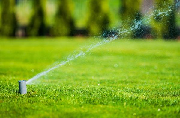 Prolawn