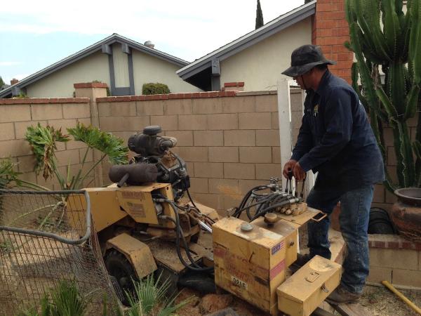 Ac & Son Tree Service