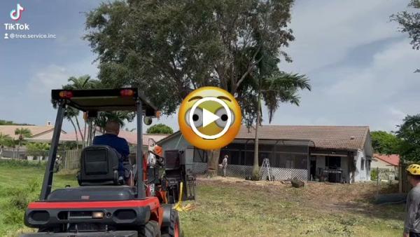 Tree Service Inc.