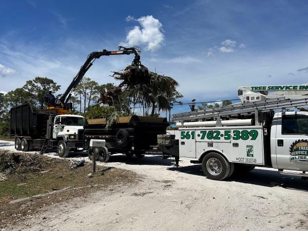 Tree Service Inc.