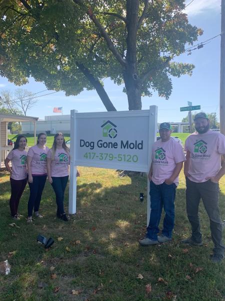 Dog Gone Mold