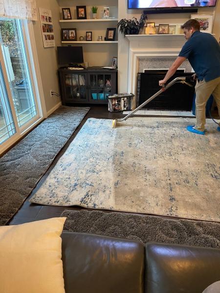 Ecosolution Carpet Care
