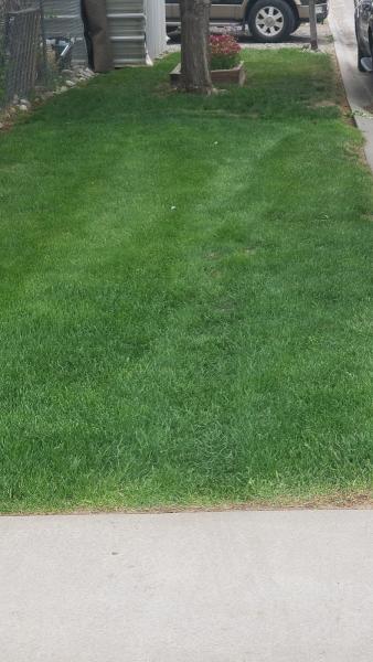 Green Magic Lawn and Landscape