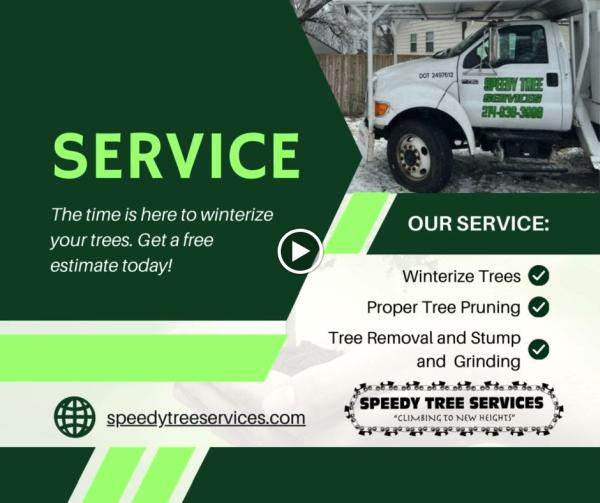 Speedy Tree Services