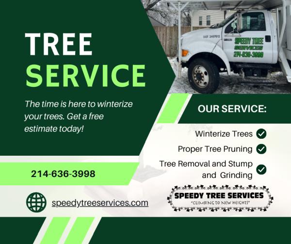 Speedy Tree Services