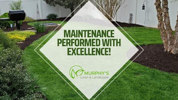 Murphy's Lawn & Landscape