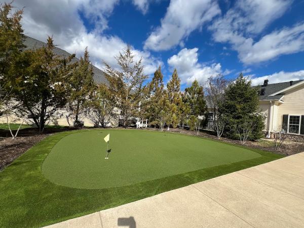 Synlawn Chesapeake Bay (Chesapeake Bay Synthetic Landscapes