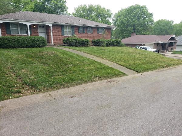 Ray's Lawn Mowing & Snow Removal