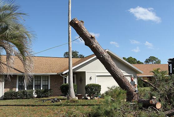 Bezdek Tree Service